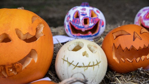 Close up of several orange and white pumpkins carved with Hallowe'en- themed faces